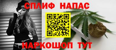 МДПВ Обь