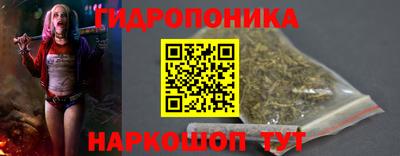 шишки Обнинск