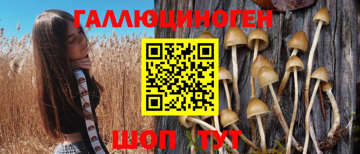 Галлюциногенные грибы Psilocybe Шумерля